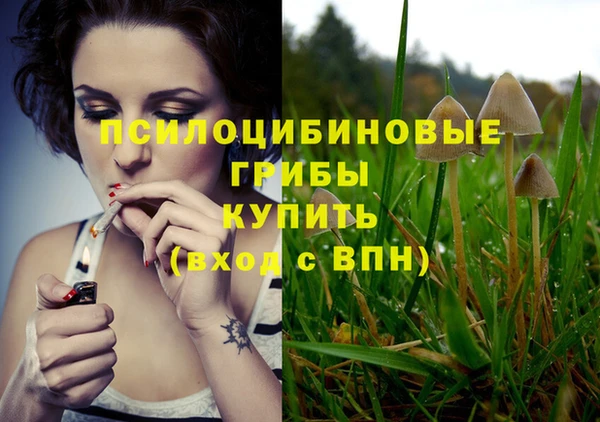 PSILOCYBIN Волоколамск